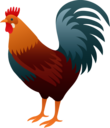 CockFighting